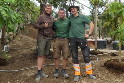 Arbeiten bei Boymann